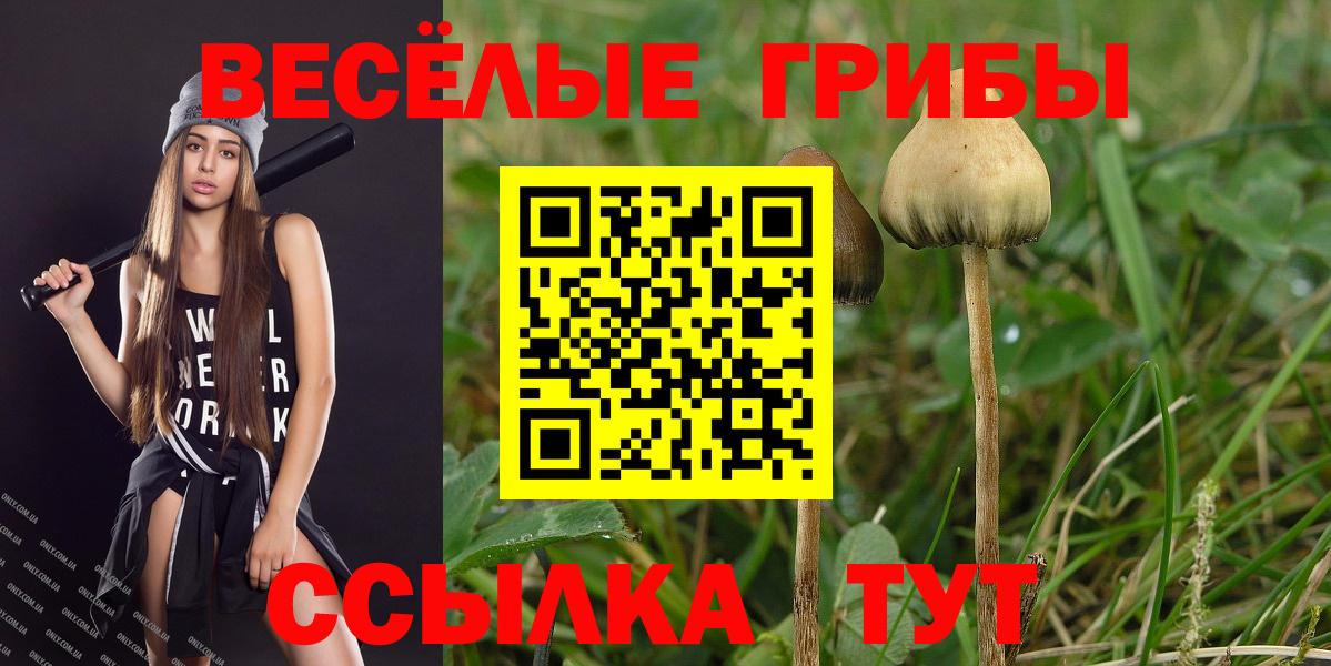 Галлюциногенные грибы MAGIC MUSHROOMS  Псилоцибиновые грибы Psilocybine cubensis  Вход с VPN  Котельники 