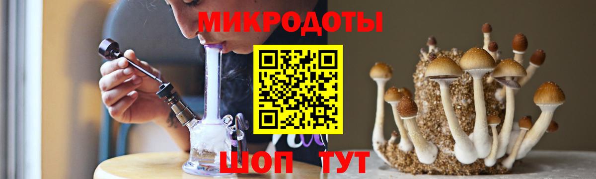 Псилоцибиновые грибы Cubensis Котельники